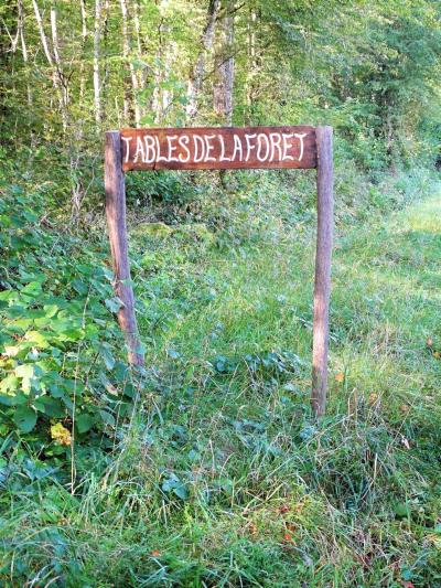 Forêt de Salmaise